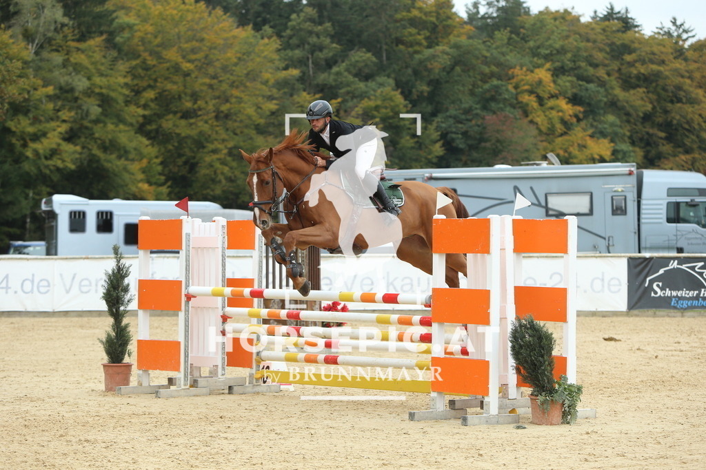 DL2Q6805 | Willkommen bei Brunnmayr - Design & Fotografie – Ihrem Spezialisten für Reitturniere und Pferdeveranstaltungen in Oberösterreich, Salzburg und Bayern! Seit über 17 Jahren sind wir leidenschaftlich dabei.