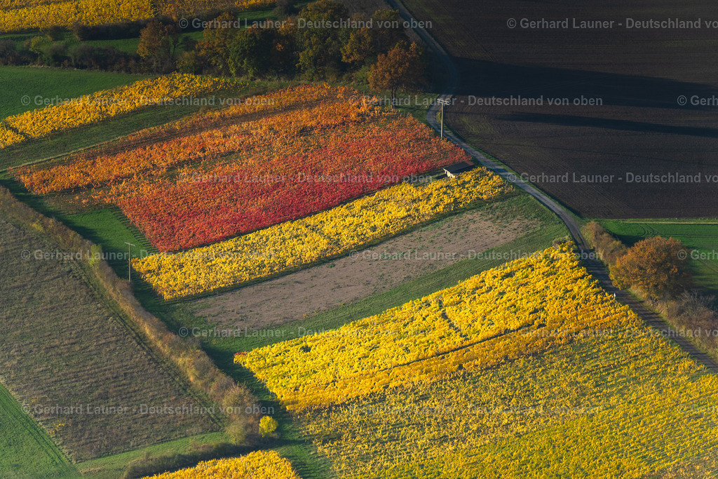 4042761 | Weinberge bei Traustadt