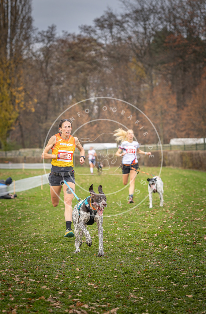 CaniXpix_DV3A6255 | Hundefotografie, Tierfotograf, Pfotenfotografie, Fotoshooting Hund, Hunde Portrait, Hundesport, Hundeportraits, Heideshooting, Hunde, Sportfotograf, Hundefotograf, Turnierhundsport, THS,  - Realisiert mit Pictrs.com