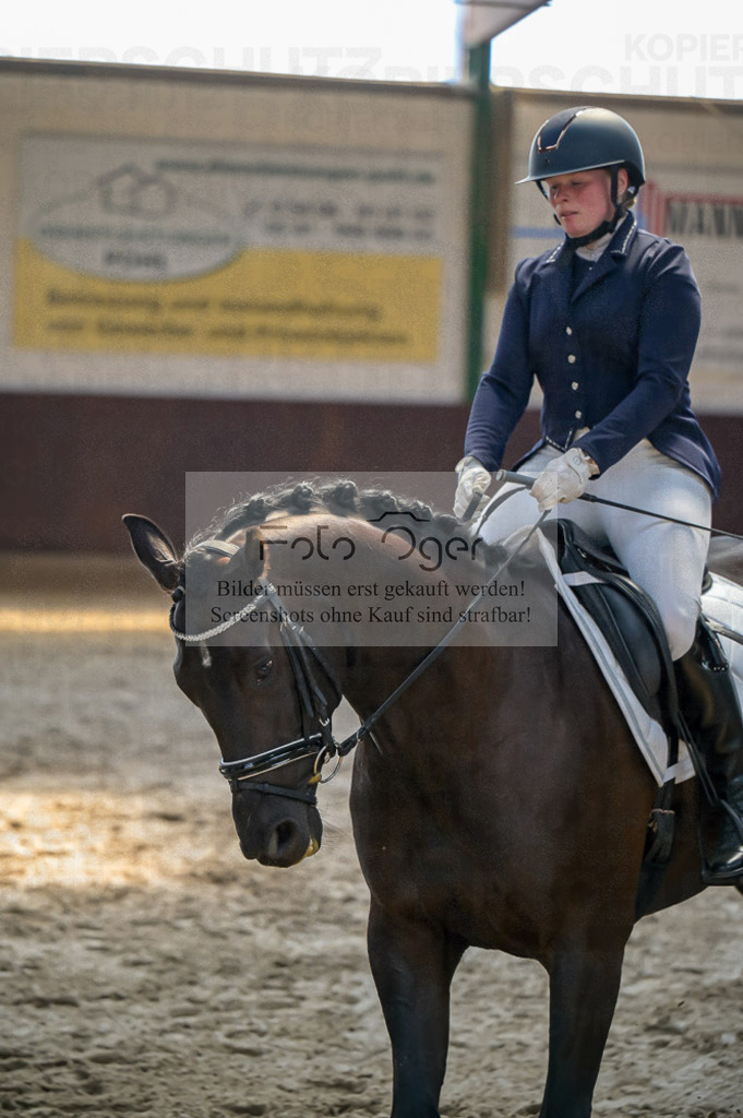 Reitturnier Voxtrup | Entdecke hochwertige Reitturnierfotos von Foto Oger. Professionell, emotional und authentisch – jetzt Lieblingsmomente im Shop bestellen.Deutschlandweite Turnierfotografie. - Realisiert mit Pictrs.com