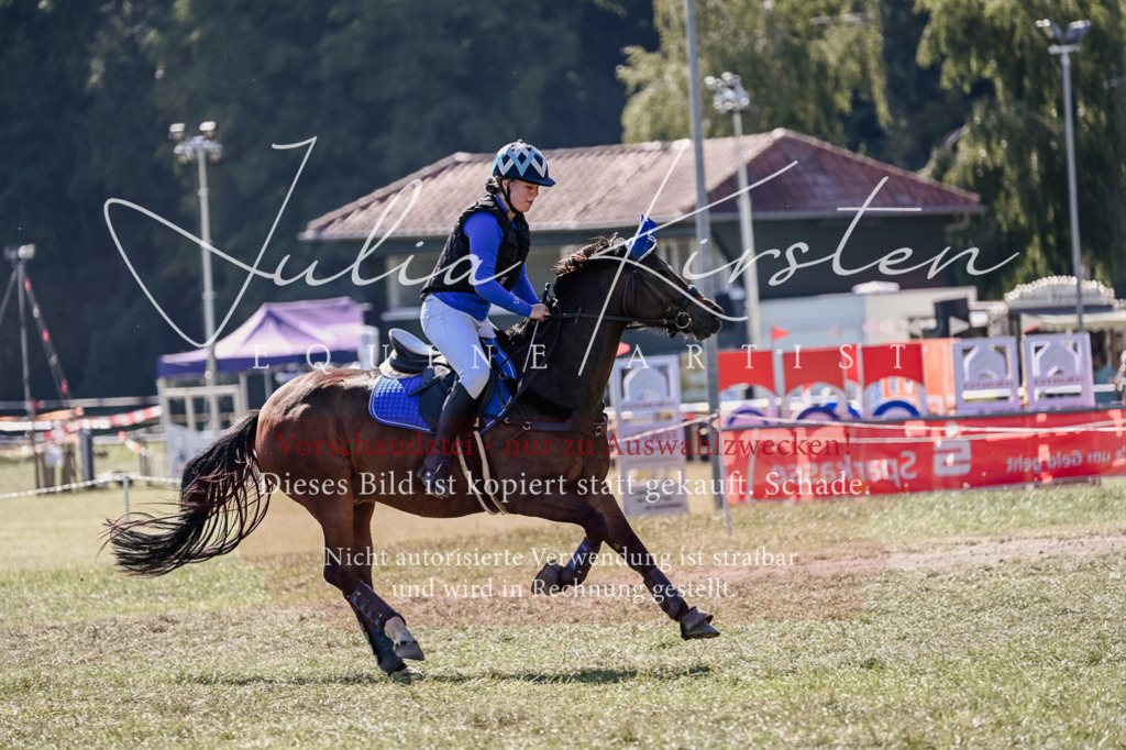 DSC_3095 | Pferde- und Turnierfotografie in Westsachsen. Pferdeportraits, Auftragszeichnungen und intuitive Kunst.