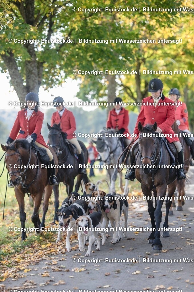 20251011_Jagd-Marbach_0291 | Foto: Thomas Hartig