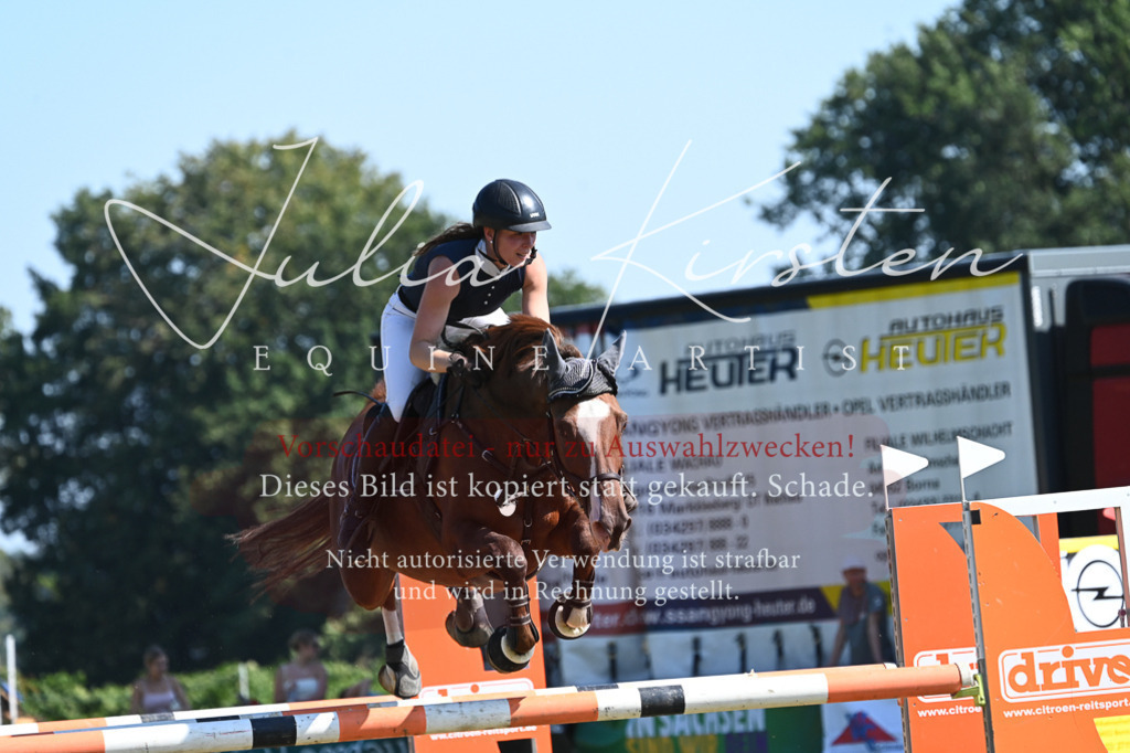 DSC_6461 | Pferde- und Turnierfotografie in Westsachsen. Pferdeportraits, Auftragszeichnungen und intuitive Kunst.