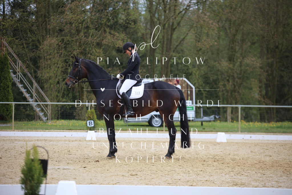 IMGT7069 | pl-fotografie