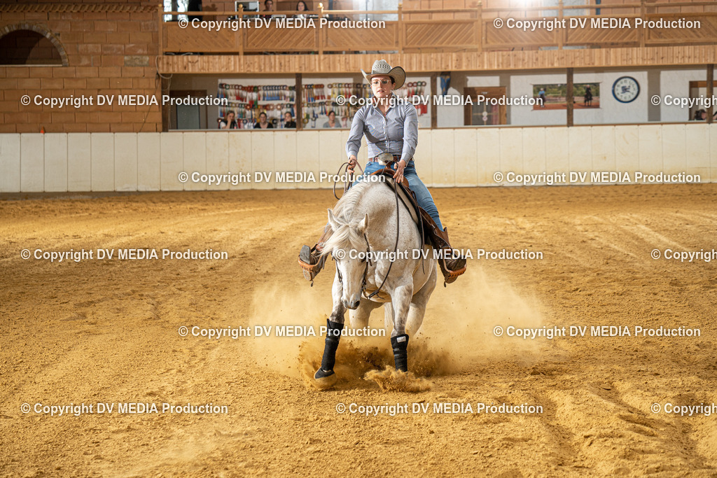 MIT00493 | dv-media-shop - Realisiert mit Pictrs.com