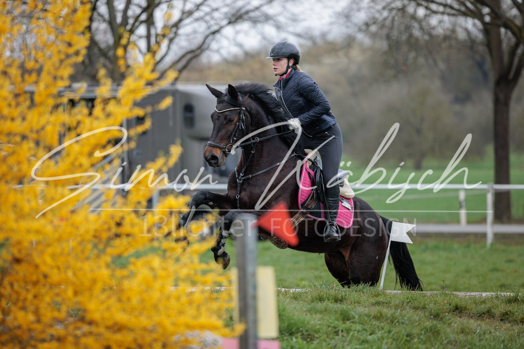 20260329-_3LI4164 | Tierfotografie Pferde, Hunde, Katzen, Haustiere.
Turnierfotografie Reitturniere, Reiten, Springreiten, Dressur in Hanau, dem Main-Kinzig-Kreis und dem Rhein-Main- Gebiet um Frankfurt