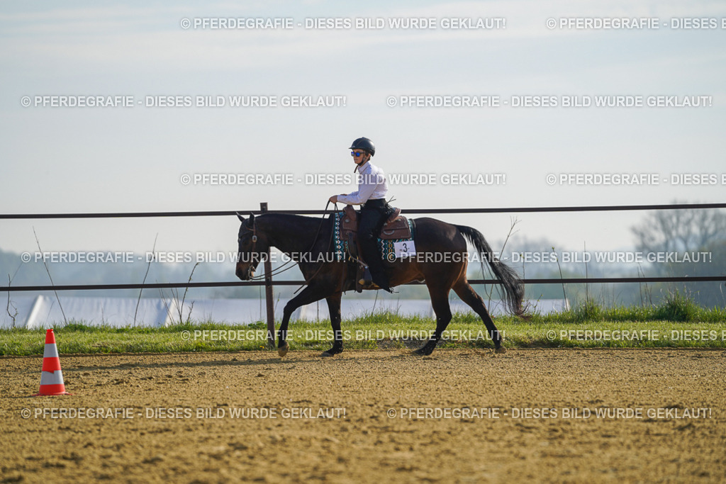 DSC00796 | Pferdegrafie