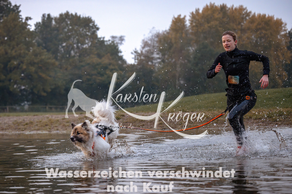0811_ZZ90603 | kk-dogfotos