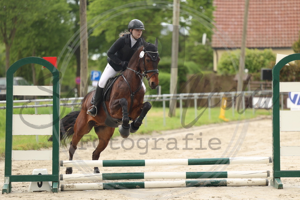 994A8389 | sabrinanicolaifotografie - Realisiert mit Pictrs.com