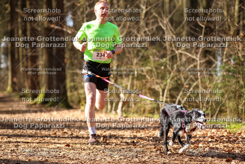Dog Paparazzi - VCC26-1090 | Dog Paparazzi Jeanette Grottendiek Fotografie & Videografie - Realisiert mit Pictrs.com