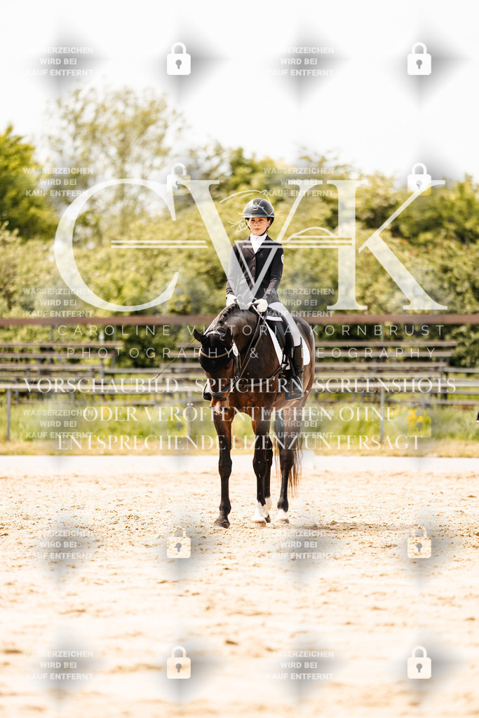 CK902616 | Turnierfotografie Pferdefotografie Trier Rheinland-Pfalz Pferdesport Reitsport Tierfotografie Sportfotografie Pferdevideo Pferdevideografie Equestrianvideography equestrianphotography  - Realisiert mit Pictrs.com