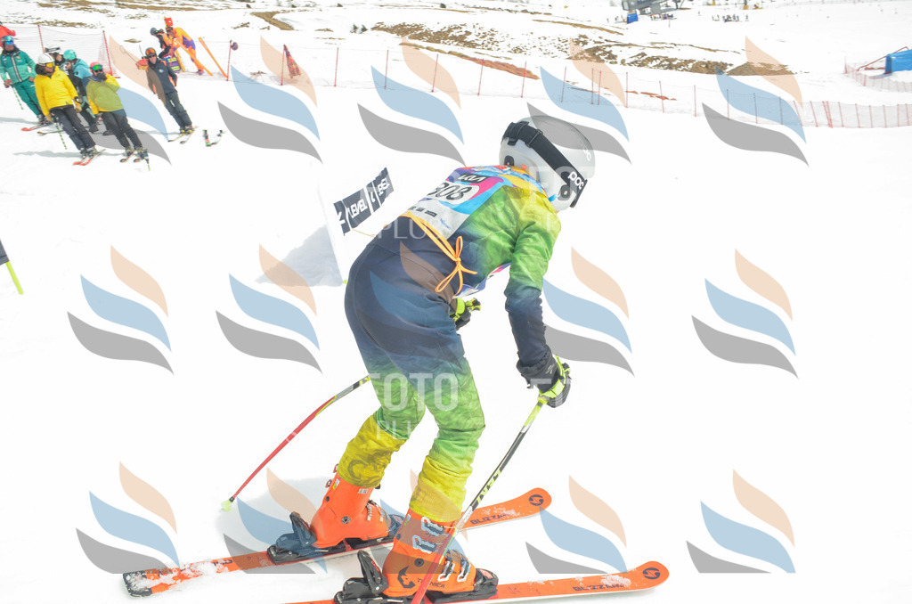 _ELE8362 | holidayphoto