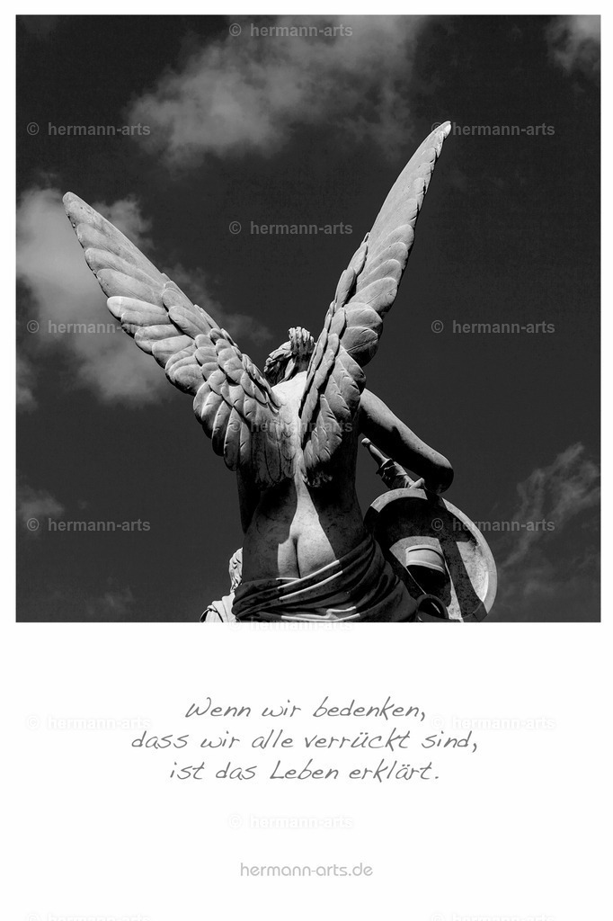 PK_Zitate_10x15_BW-044 | Photo Foto Kunst Art schwarzweiss Bilder Rheine Münster Berlin Blumen 