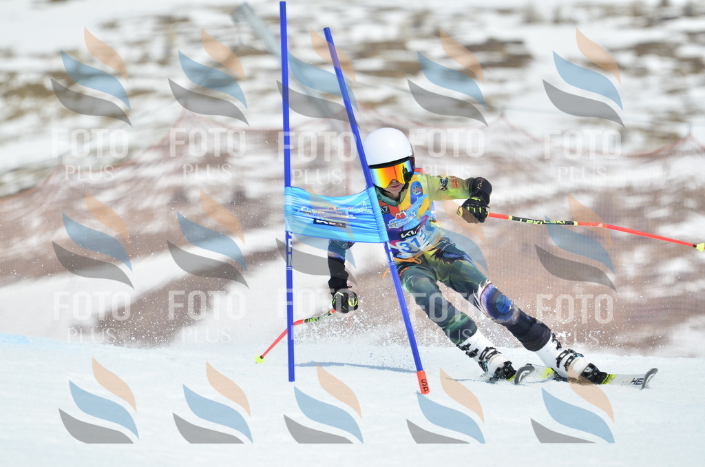 _ELE2403 | holidayphoto