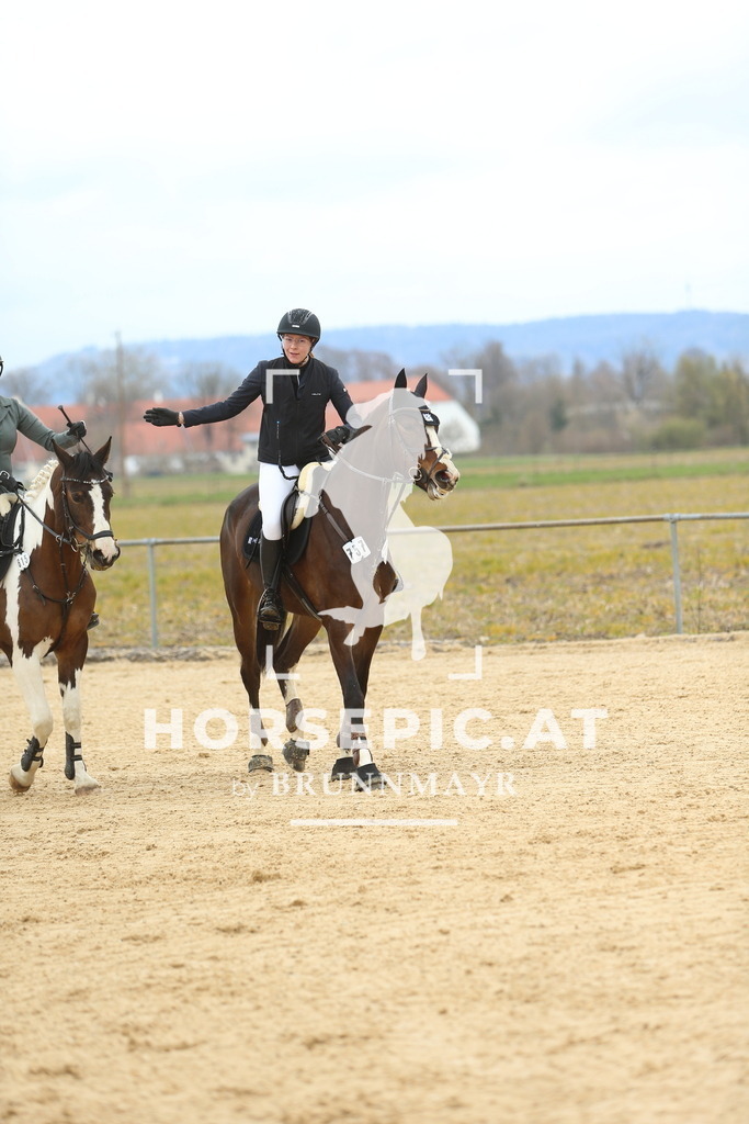 DL2Q1755 | Willkommen bei Brunnmayr - Design & Fotografie – Ihrem Spezialisten für Reitturniere und Pferdeveranstaltungen in Oberösterreich, Salzburg und Bayern! Seit über 17 Jahren sind wir leidenschaftlich dabei.