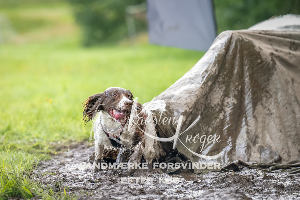 0908_ZZ90108-Bearbeitet | kk-dogfotos