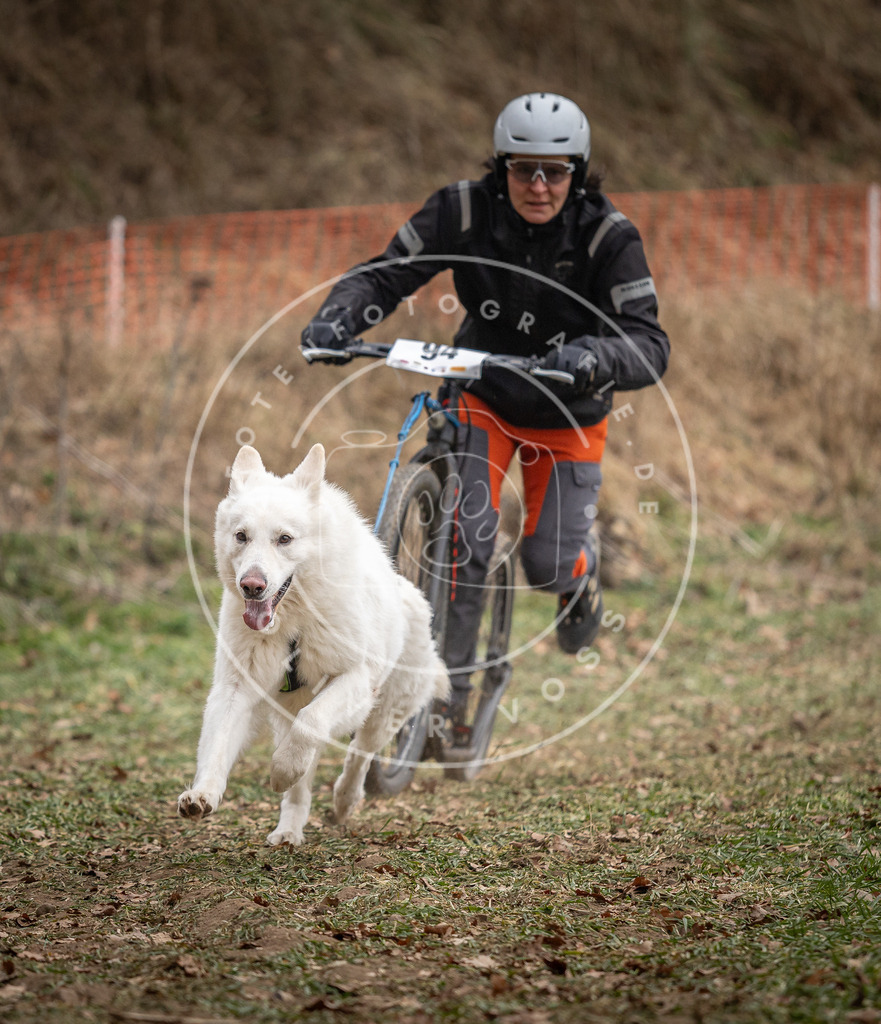 Pfotenfotografie_DV3A6885 | Hundefotografie, Tierfotograf, Pfotenfotografie, Fotoshooting Hund, Hunde Portrait, Hundesport, Hundeportraits, Heideshooting, Hunde, Sportfotograf, Hundefotograf, Turnierhundsport, THS,  - Realisiert mit Pictrs.com