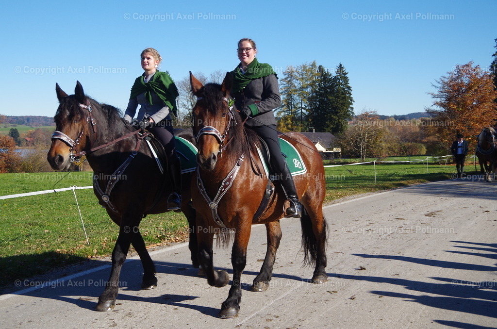 IMGP8464 | fotografiert von Axel PollmannLeonhardi Wallfahrt Benediktbeuern und Murnau, Fronleichnam, Fasching, Landschaft im Loisachtal und Benediktbeuern  - Realisiert mit Pictrs.com