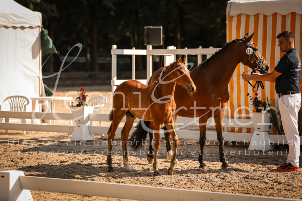 11.DoRP00109 | Leoni Ertmer Photography - Realisiert mit Pictrs.com