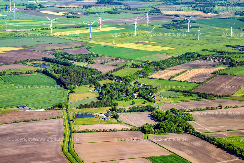 Holm_ELS_8454300523 | HOLM 30.05.2023 Dorf - Ansicht in Holm im Bundesland Schleswig-Holstein, Deutschland. // Village view in Holm in the state Schleswig-Holstein, Germany. Foto: Martin Elsen