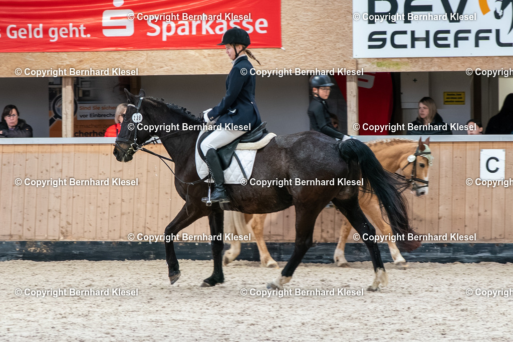 2A901774 | foto-team-bernhard - Realisiert mit Pictrs.com