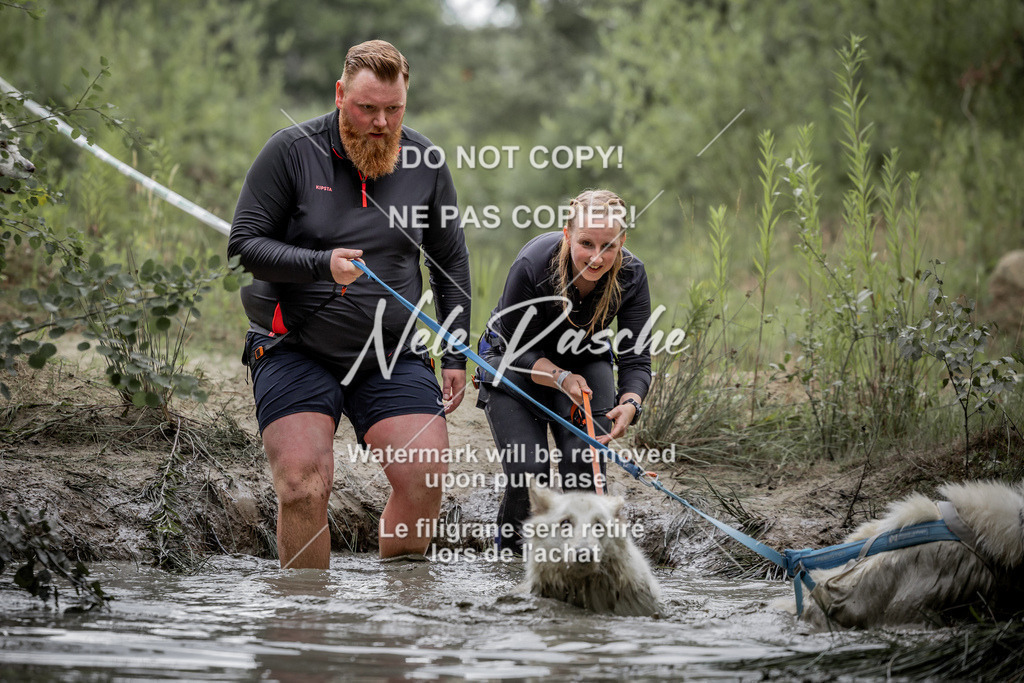 nelerasche_so0800-0930_442 | nelerasche