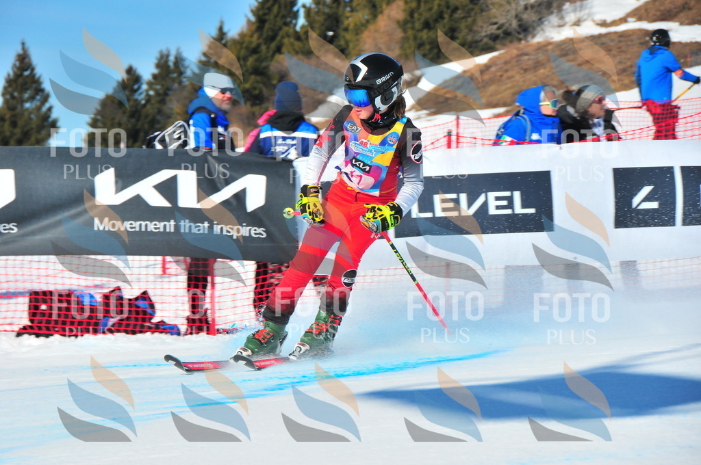 DSC_3765 | holidayphoto