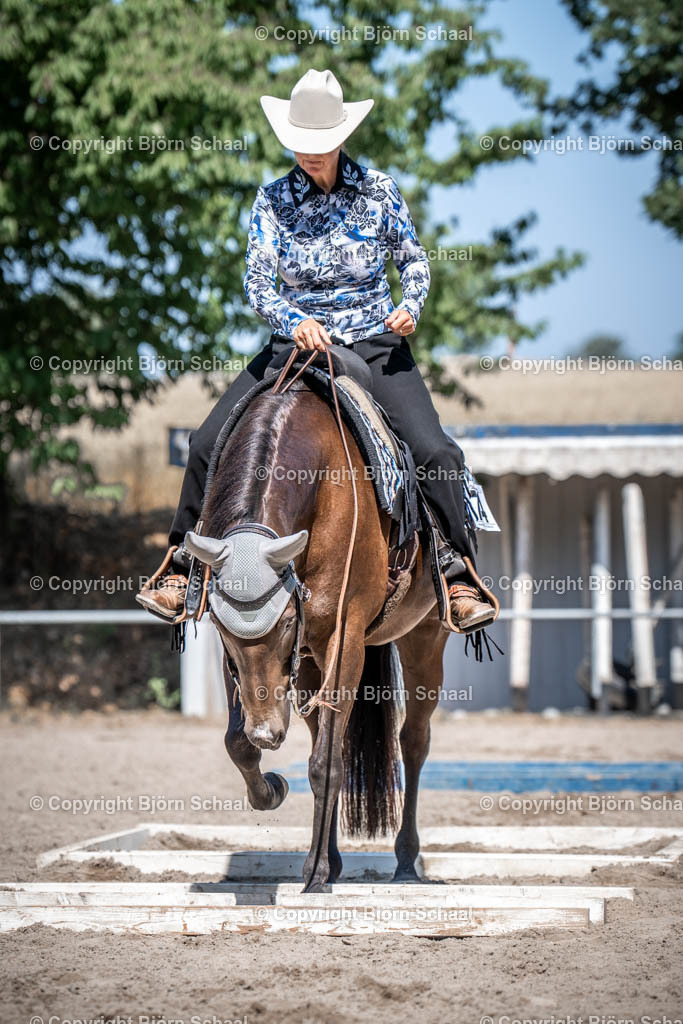 LOE03611 | BS-foto