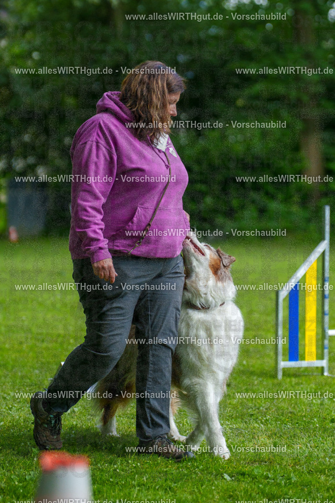 @allesWIRTHgut_Tierfotografie - www.allesWIRTHgut.de - 7R503312 | Professionelle Tierfotografie in Mönchengladbach von Daniel Wirth (allesWIRTHgut). Liebevolle & natürliche Bilder von Hunden & Katzen für unvergessliche Erinnerungen.