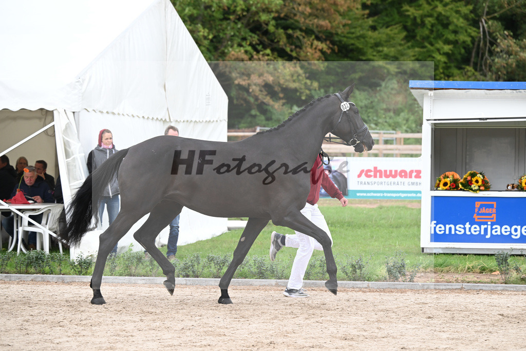 Kat-Nr. 32 Zaphira ABS_Bauer_49221067 | hf-fotografie - Realizzato con Pictrs.com