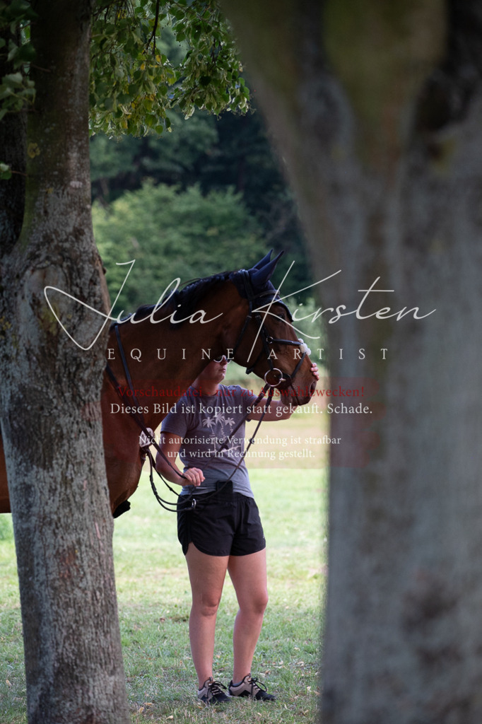 DSC_0953 | Pferde- und Turnierfotografie in Westsachsen. Pferdeportraits, Auftragszeichnungen und intuitive Kunst.
