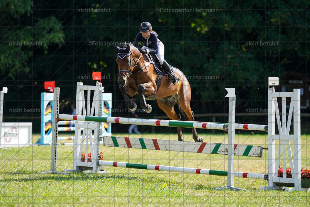 20230701-FAH02273 | Reitturnier Grafing, 2023, Grafing-Aiterndorf, Spribgturnier, Dressurturnier, Bilder, Qualifikation Nürnberger Burgpokal, Fotoagentur Herrmann, Turnierfotografen Bayern, Turnierbilder Bayern, Reitrsportfoto