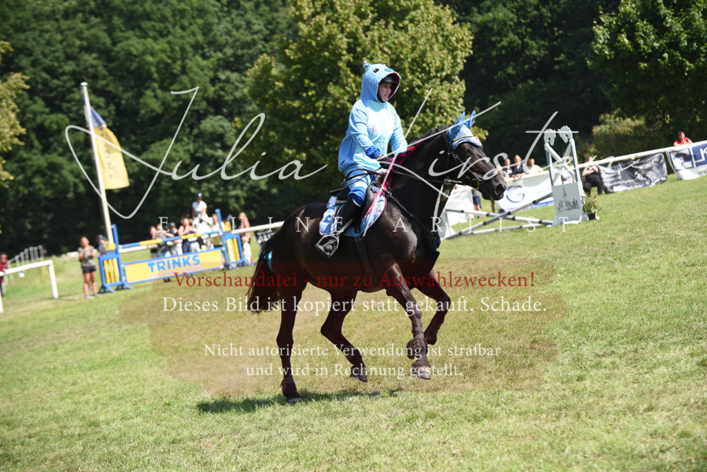 DSC_0224 | Pferde- und Turnierfotografie in Westsachsen. Pferdeportraits, Auftragszeichnungen und intuitive Kunst.