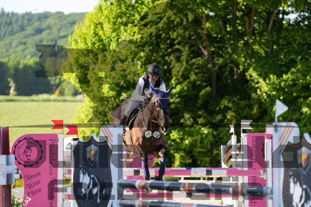 DSC02539 | Julian Held Fotografie - Realisiert mit Pictrs.com