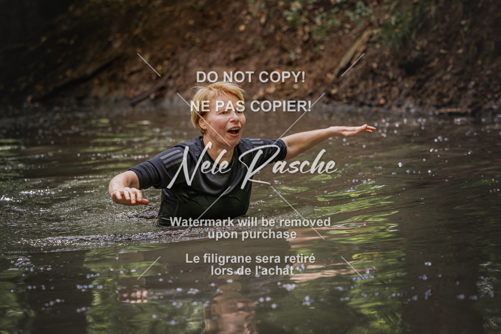 nelerasche_SaWingst1300-1400_311 | nelerasche