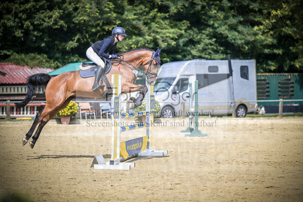 DOS_6196 | Entdecke hochwertige Reitturnierfotos von Foto Oger. Professionell, emotional und authentisch – jetzt Lieblingsmomente im Shop bestellen.Deutschlandweite Turnierfotografie. - Realisiert mit Pictrs.com