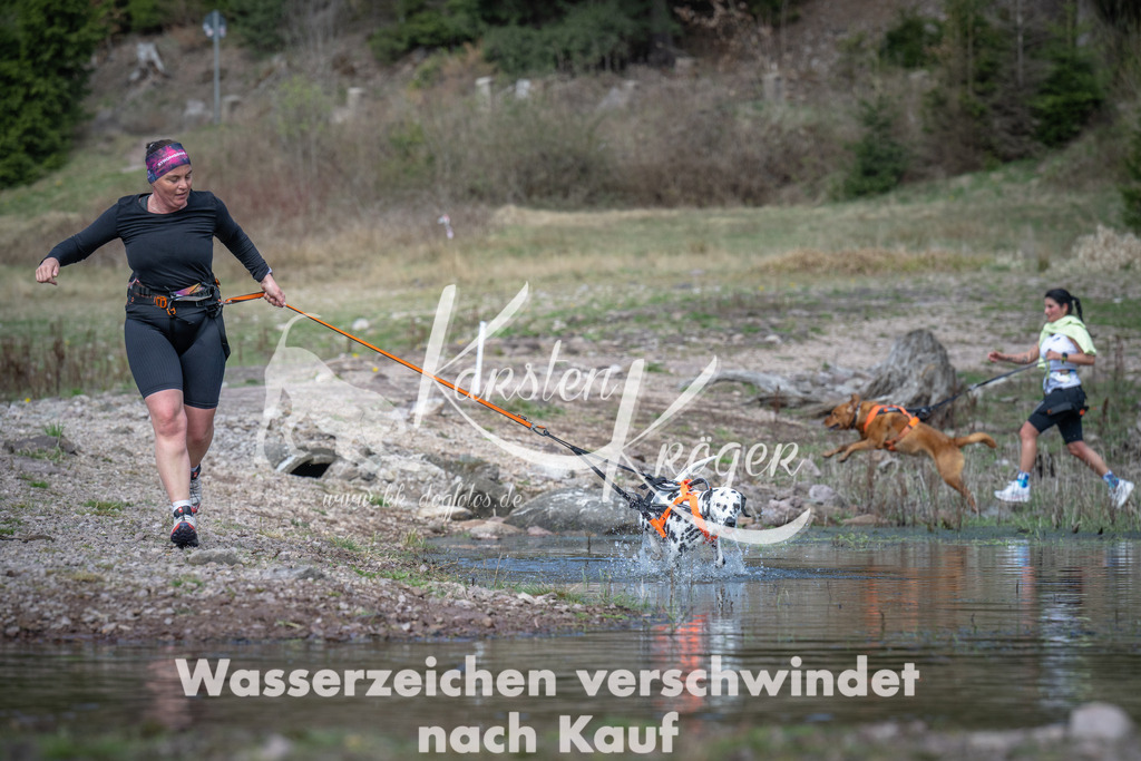 1100_ZZ92543 | kk-dogfotos