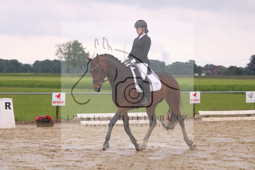 IMG_7127 | jessicahollubetz_pferdephotographie - Realisiert mit Pictrs.com