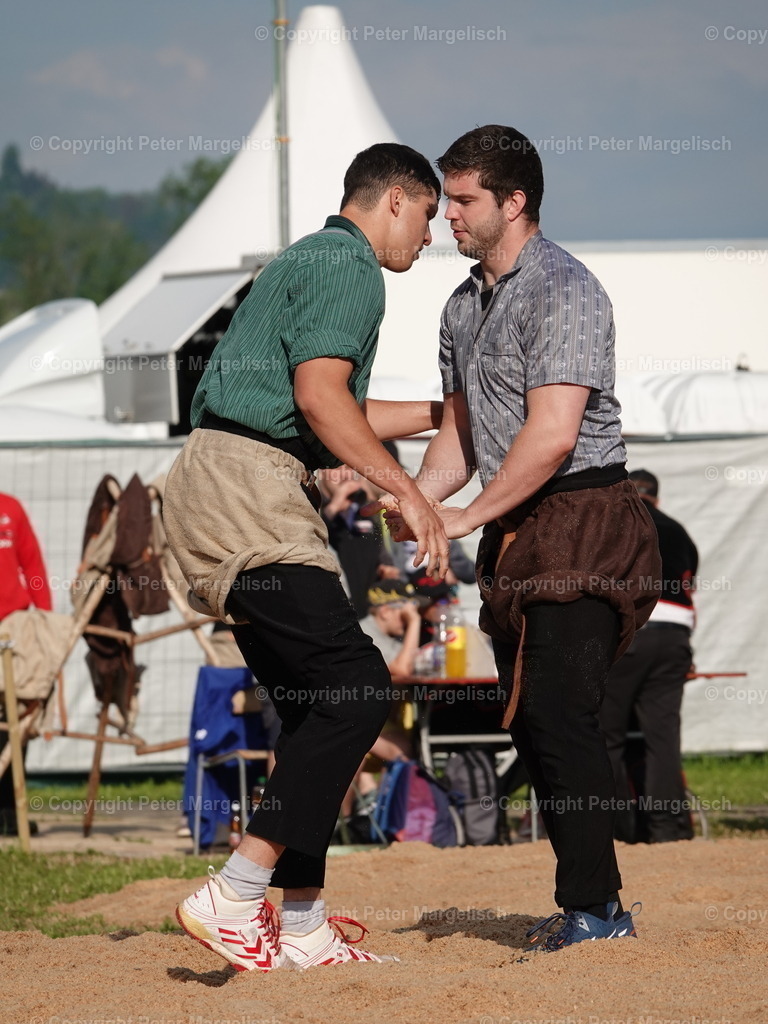 DSC06641 | Schwingen - Realisiert mit Pictrs.com