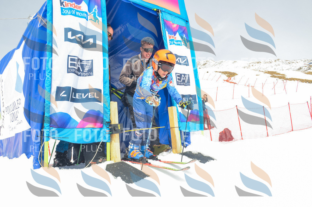 _ELE8370 | holidayphoto