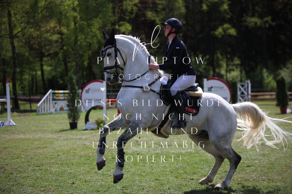 IMGT1237 | pl-fotografie