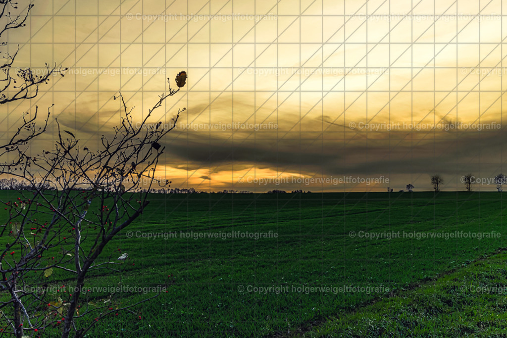 Abenddämmerung | Kaufen sie online außergewöhnliche Fotografien auf Leinwand Acrylglas Fotoprint Aludibond von holgerweigeltfotografie - Realisiert mit Pictrs.com