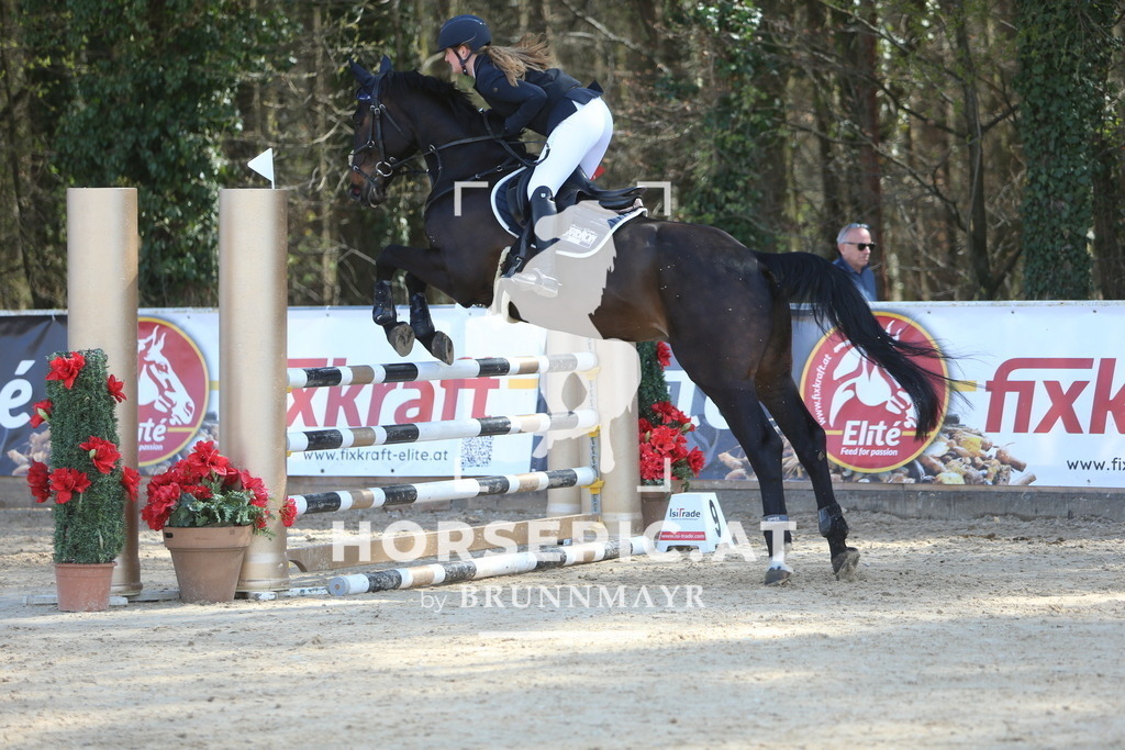 DL2Q0556 | Willkommen bei Brunnmayr - Design & Fotografie – Ihrem Spezialisten für Reitturniere und Pferdeveranstaltungen in Oberösterreich, Salzburg und Bayern! Seit über 17 Jahren sind wir leidenschaftlich dabei.