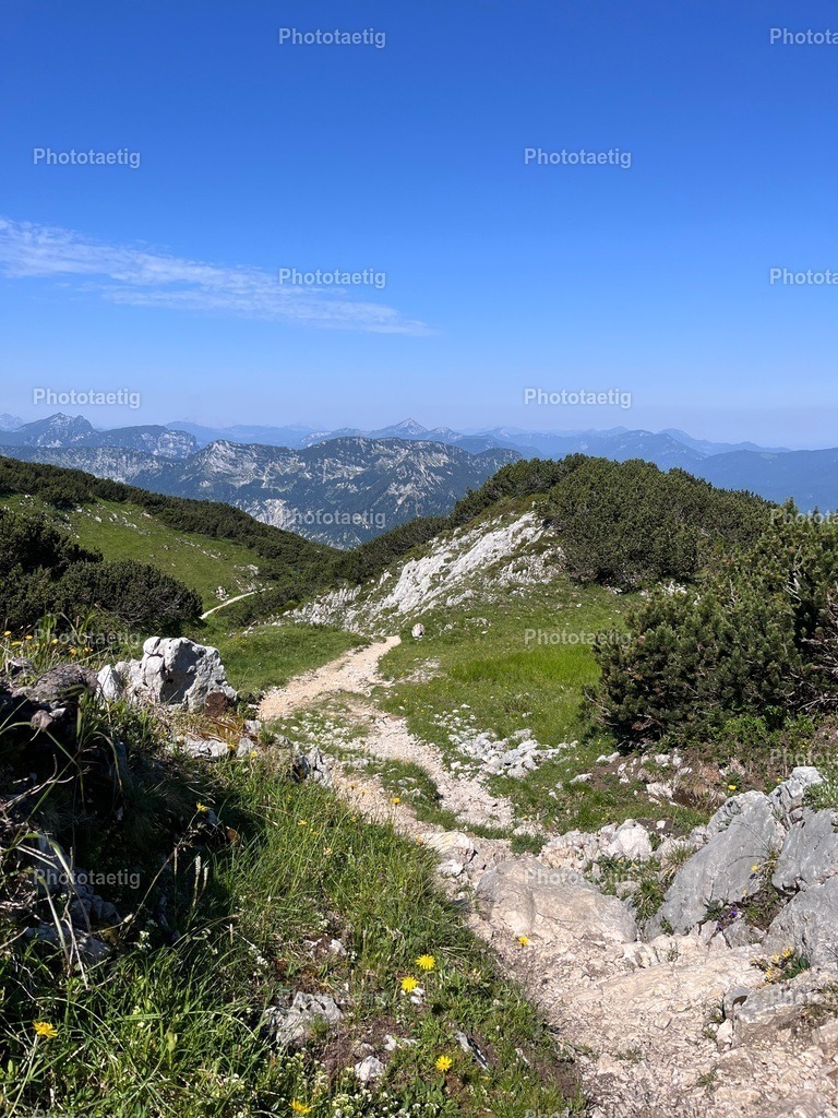 IMG_4248 | phototaetig