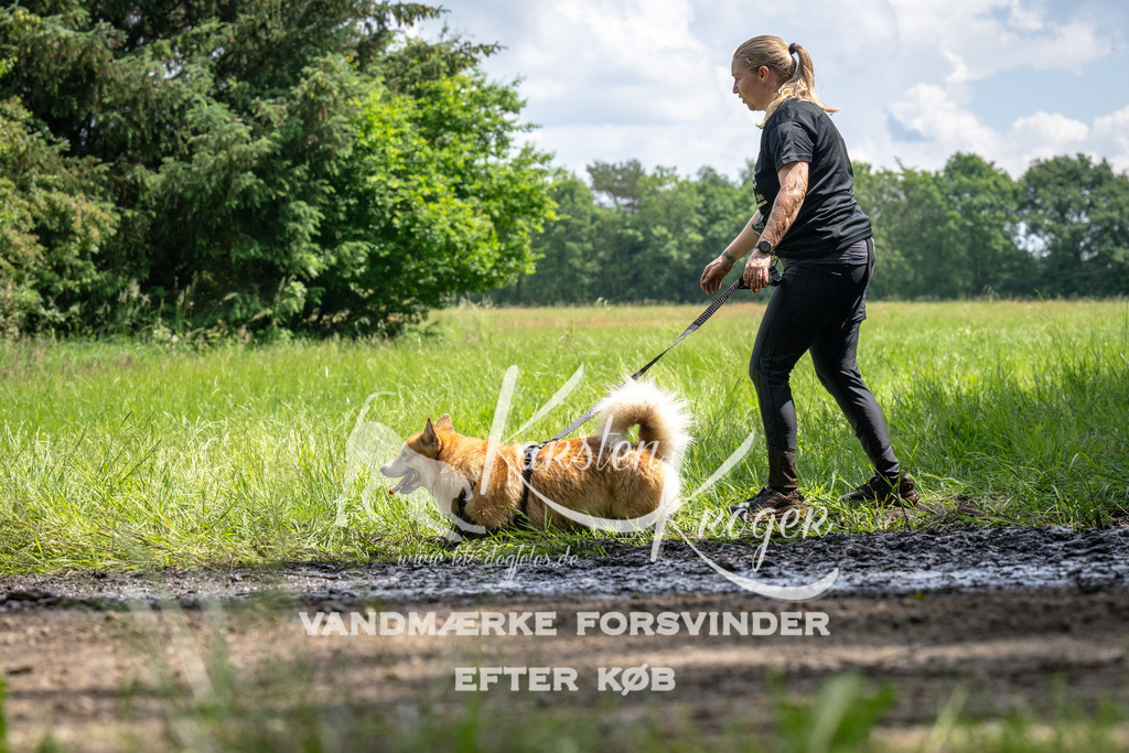 1240_ZZ93023 | kk-dogfotos