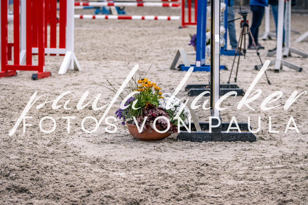 IMG_6087 | Erleben Sie dynamische Sport- und emotionale Tierfotografie in Süddeutschland mit Fotos von Paula. Spezialisiert auf Pferde- und Hundefotografie sowie Sportevents. Kontaktieren Sie mich für einzigartige und ausdrucksstarke Bilder Ihrer besonderen Momente.
