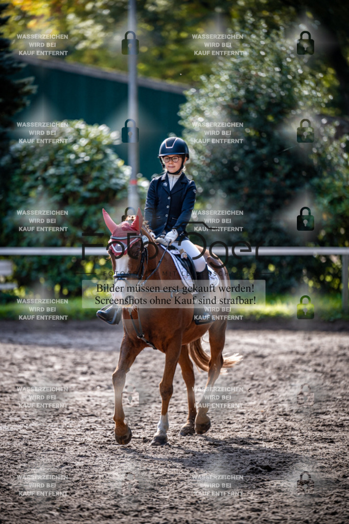 2026-10-Helle-20-4-0042 | Entdecke hochwertige Reitturnierfotos von Foto Oger. Professionell, emotional und authentisch – jetzt Lieblingsmomente im Shop bestellen.Deutschlandweite Turnierfotografie. - Realisiert mit Pictrs.com
