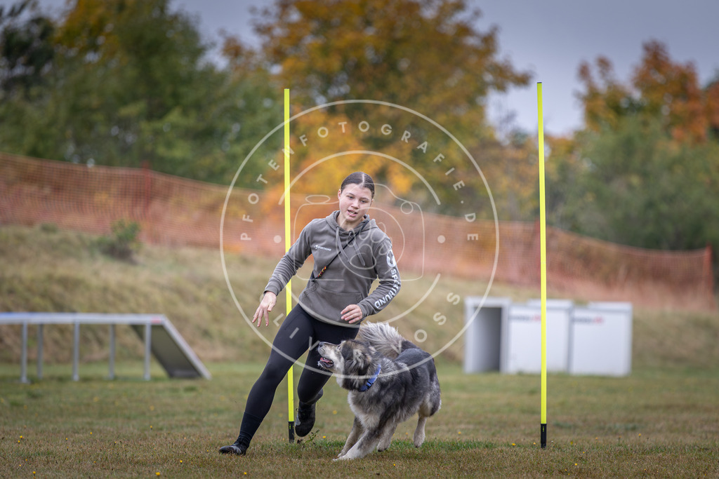 Pfotenfotografie_DV3A0924 | Hundefotografie, Tierfotograf, Pfotenfotografie, Fotoshooting Hund, Hunde Portrait, Hundesport, Hundeportraits, Heideshooting, Hunde, Sportfotograf, Hundefotograf, Turnierhundsport, THS,  - Realisiert mit Pictrs.com
