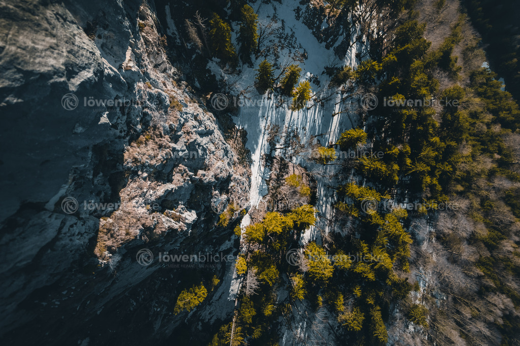 Felsen und Nadelbäume bei Chiemgau im Winter | löwenblicke | shop