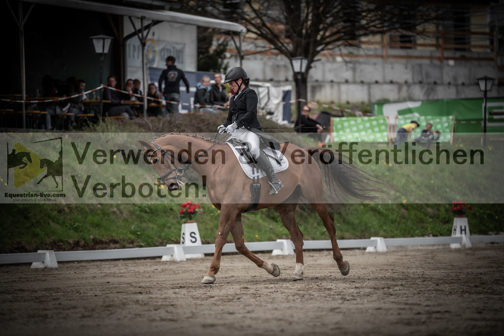 DSC_2514 | equestrian-live-com